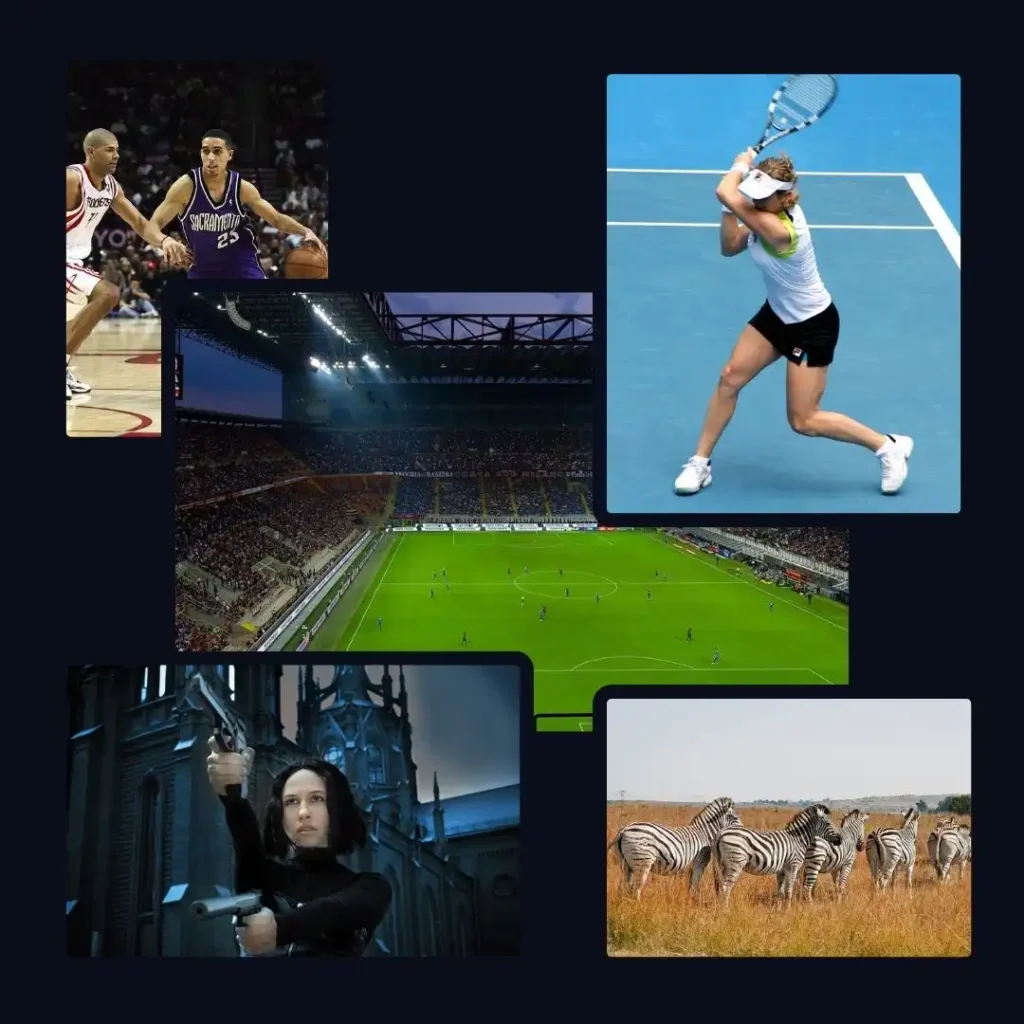 tv